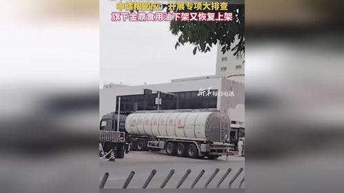 食用油安全风波再起 中储粮金鼎疑遭污染，官方紧急行动凸显行业隐忧