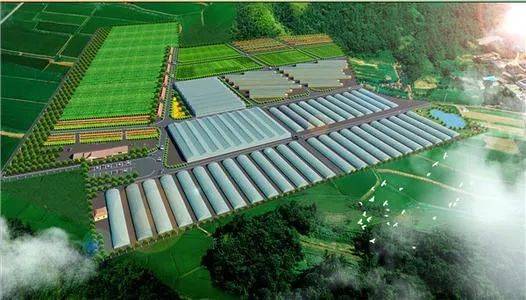 推动产业升级 2023年农业农村部重点发展乡村旅游与农产品精深加工